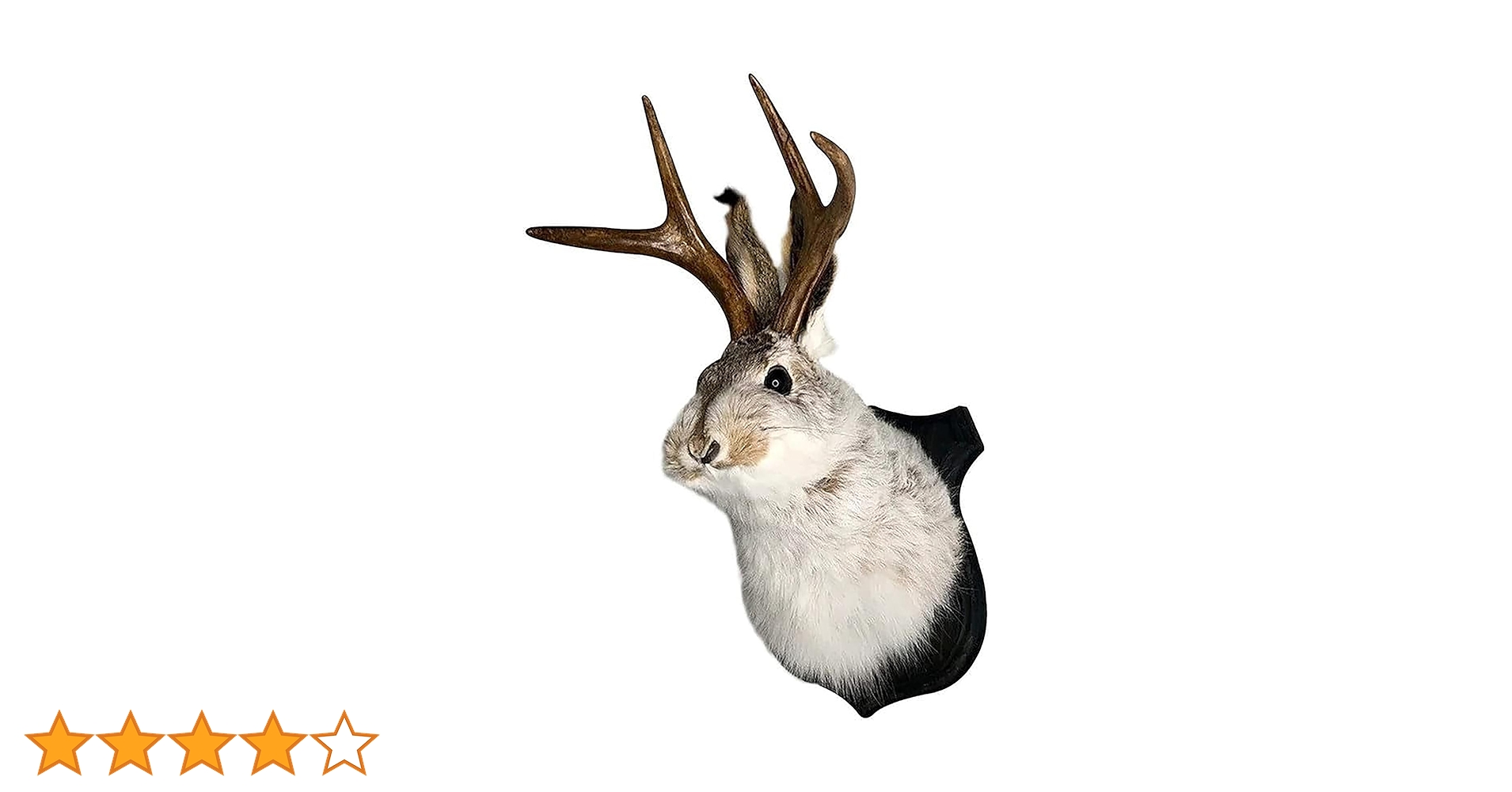 山羊の剥製　装飾 紫幹山羊 - koubou-yagigura ページ！